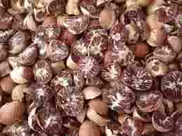 Natural Whole Dried Betel Nut