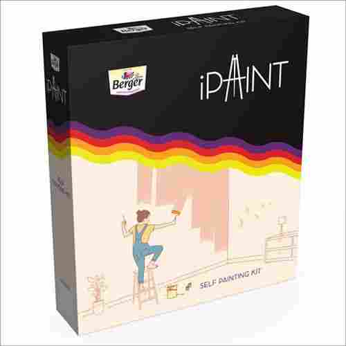 Berger Home Wall Painting Kit