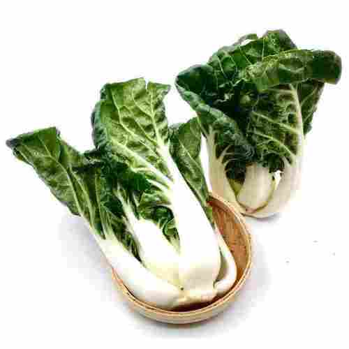 Delicious Vegetable Seeds White Chinese Cabbage Seeds For Sowing