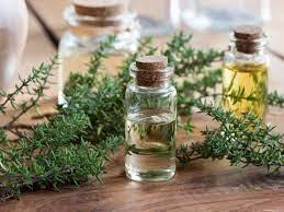 Thyme Essential Oil Age Group: Adults