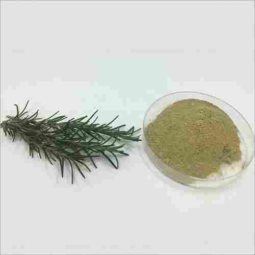 Natural Rosemary Extract