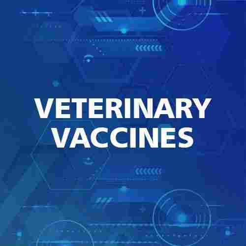 Veterinary Vaccine