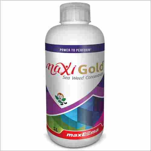 Maxeema Maxi Gold Sea Concentrate