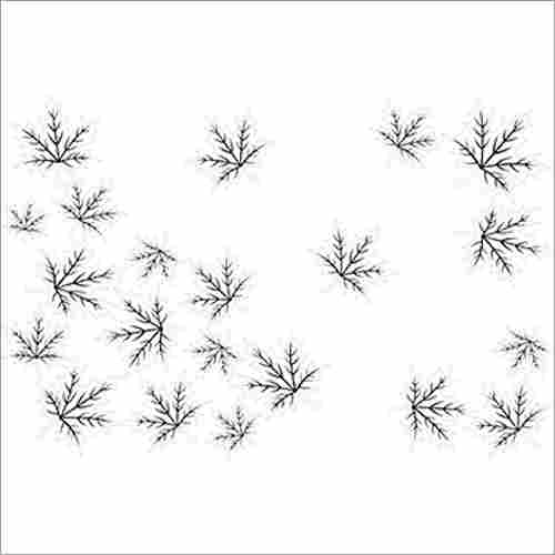 2503 300x450 mm Punch White Glossy Finish Digital Wall Tiles