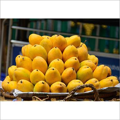Fresh Yellow Mango