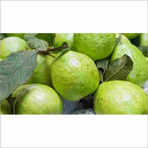 Fresh Guava