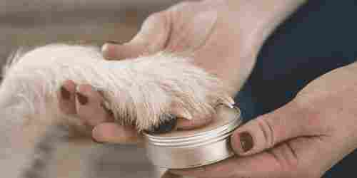Paw Balm Paw Butter