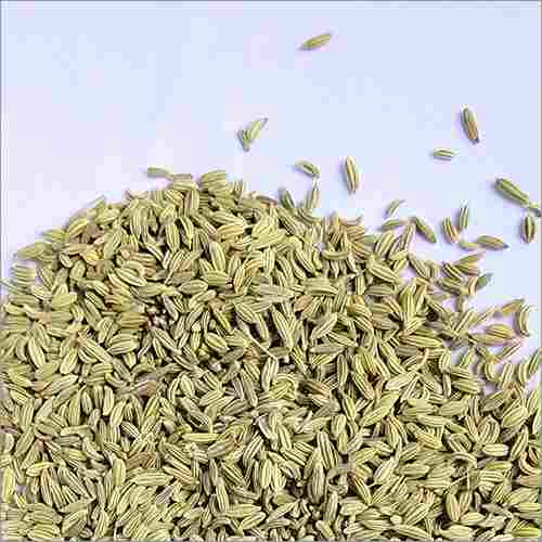 Fennel Whole