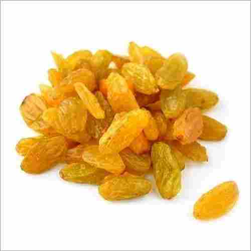 Golden Kashmar Raisins