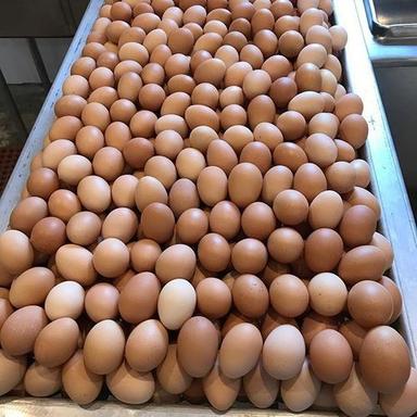 Organic Eggs (Brown/White) Egg Origin: Chicken