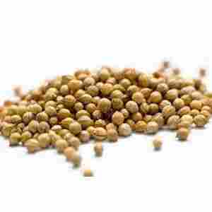 Whole Coriander