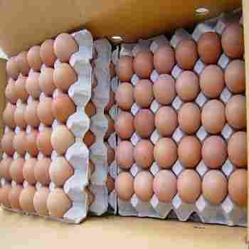 Organic White Eggs