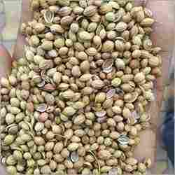 Whole Organic Coriander Seeds
