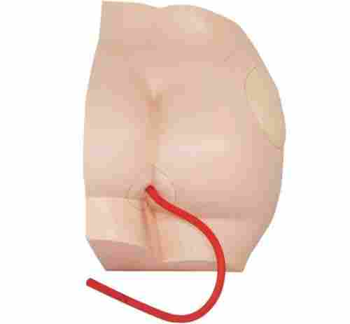 ConXport Buttock Injection Model