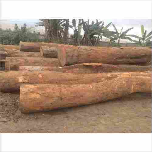 Azobe Wood Log