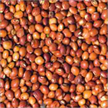 Organic Toor Whole Beans