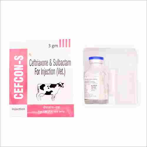 Ceftriaxone and Sulbactam For Injection Vet