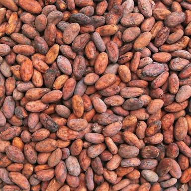 Raw Organic Cacao Beans