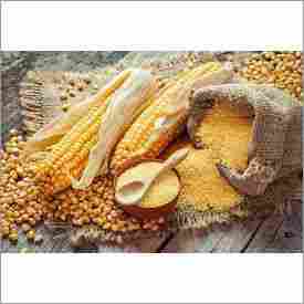 High Quality Yellow Maize