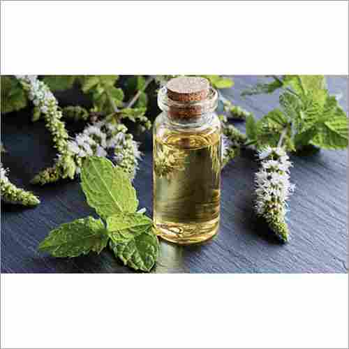 Mentha Piperita Oil