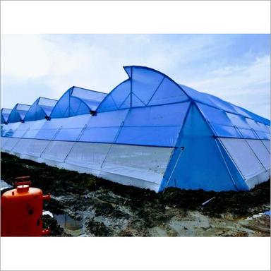 Naturally Ventilated Agriculture Greenhouse Greenhouse Size: Large