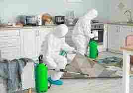 Home Sanitization Service