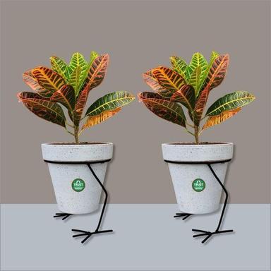 Indoor Flower Pot Stand