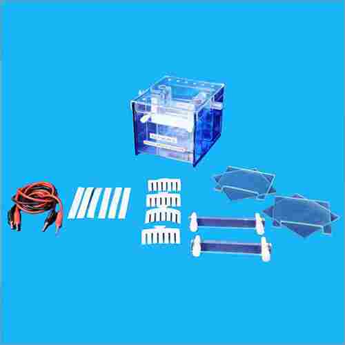 Gel Electrophoresis System