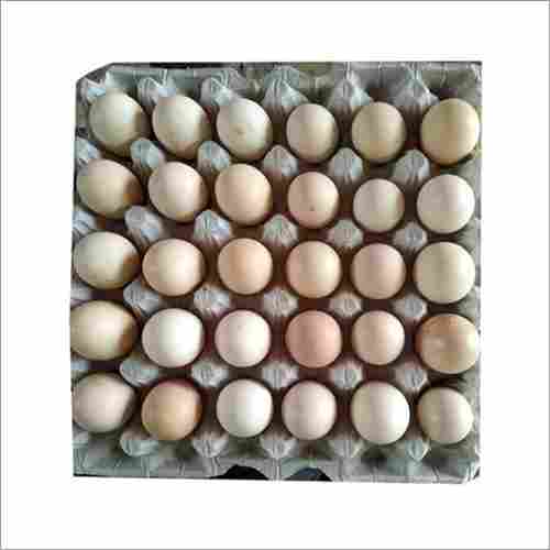 Brown Kadaknath Chicken Egg