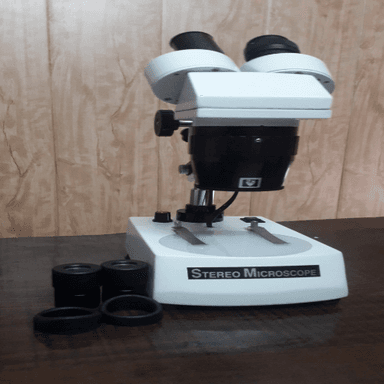 Stereo Binocular Microscope Magnification: 20X