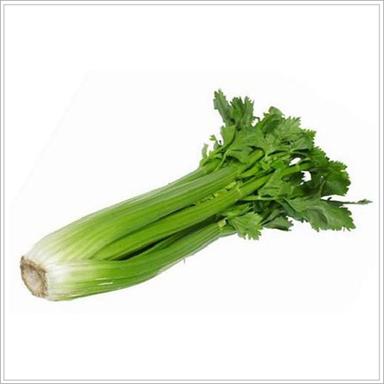 Fresh Celery Shelf Life: 1 Days