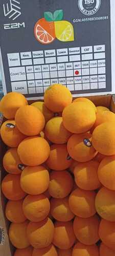 Common Valencia Orange