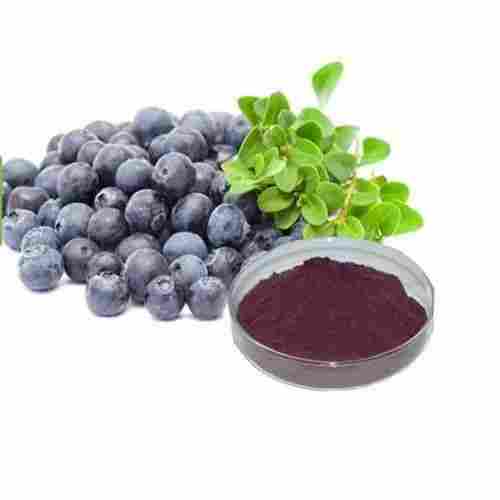 Acai Berry Extract