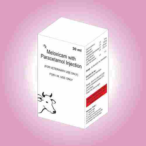 Meloxicam Paracetamol 30 ml Injection in third party manufacturing