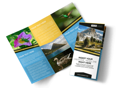 Multicolor Leaflets And Brochure