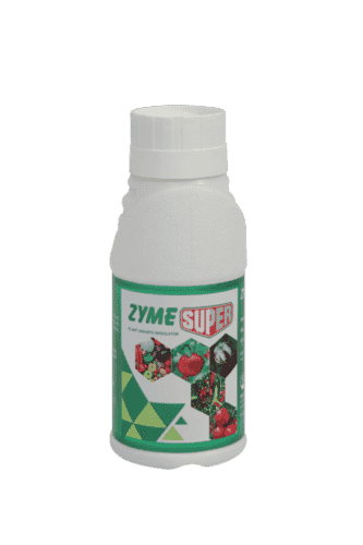 Zyme-Super Root Growth