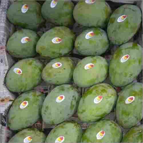 Green Langra Mango
