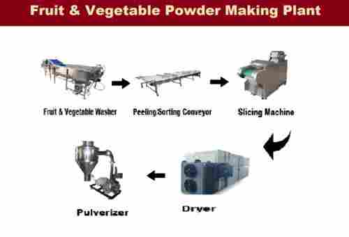 Onion Powder Making Plant