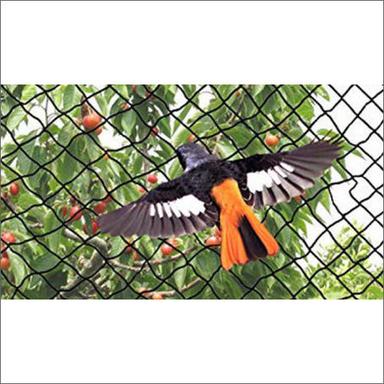 Sparrow Netting Services