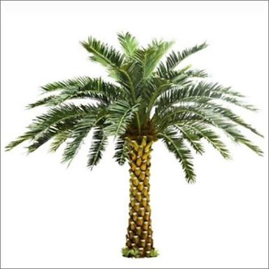 Durable Artificial Date Palm Plant