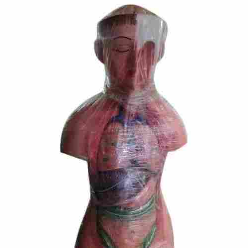 85 cm PVC Human Torso Body Model