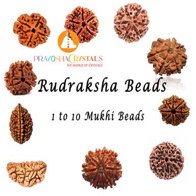 Rudraksha Beads 1 To 10 Mukhi