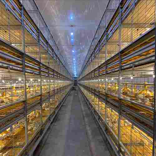 Automatic Broiler Battery Cage