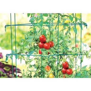 Rot Proof Tomato Farming Fencing