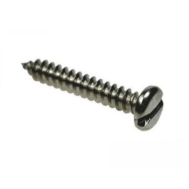Silver Stainless Steel Pan Slotted Screw