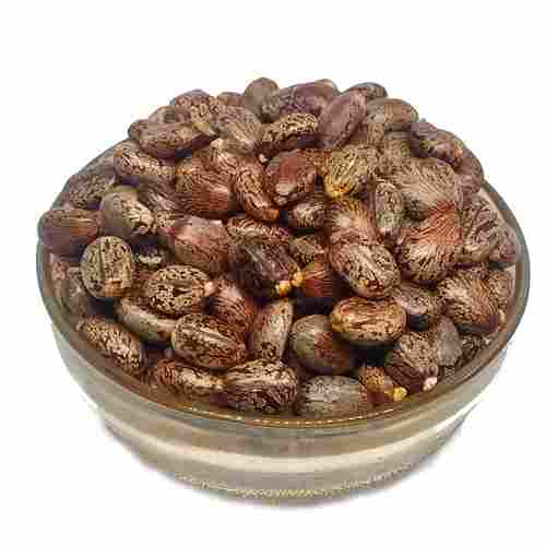 Organic Castor Seeds