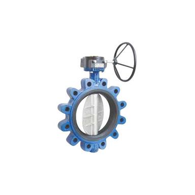 Blue Rubber Lined Lug And Wafer Type Butterfly Valve