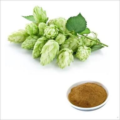 Herbal Product Hops Flower Extract