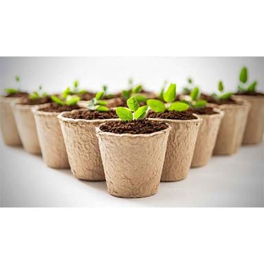 Light Brown Coir Seed Pots