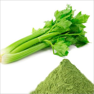 Feed Grade  Celery Powder Packaging: Bag